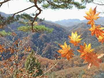 釜山行2免费观看(免费阅读)小说全文阅读无弹窗 - 釜山行2免费观看最新章节列表